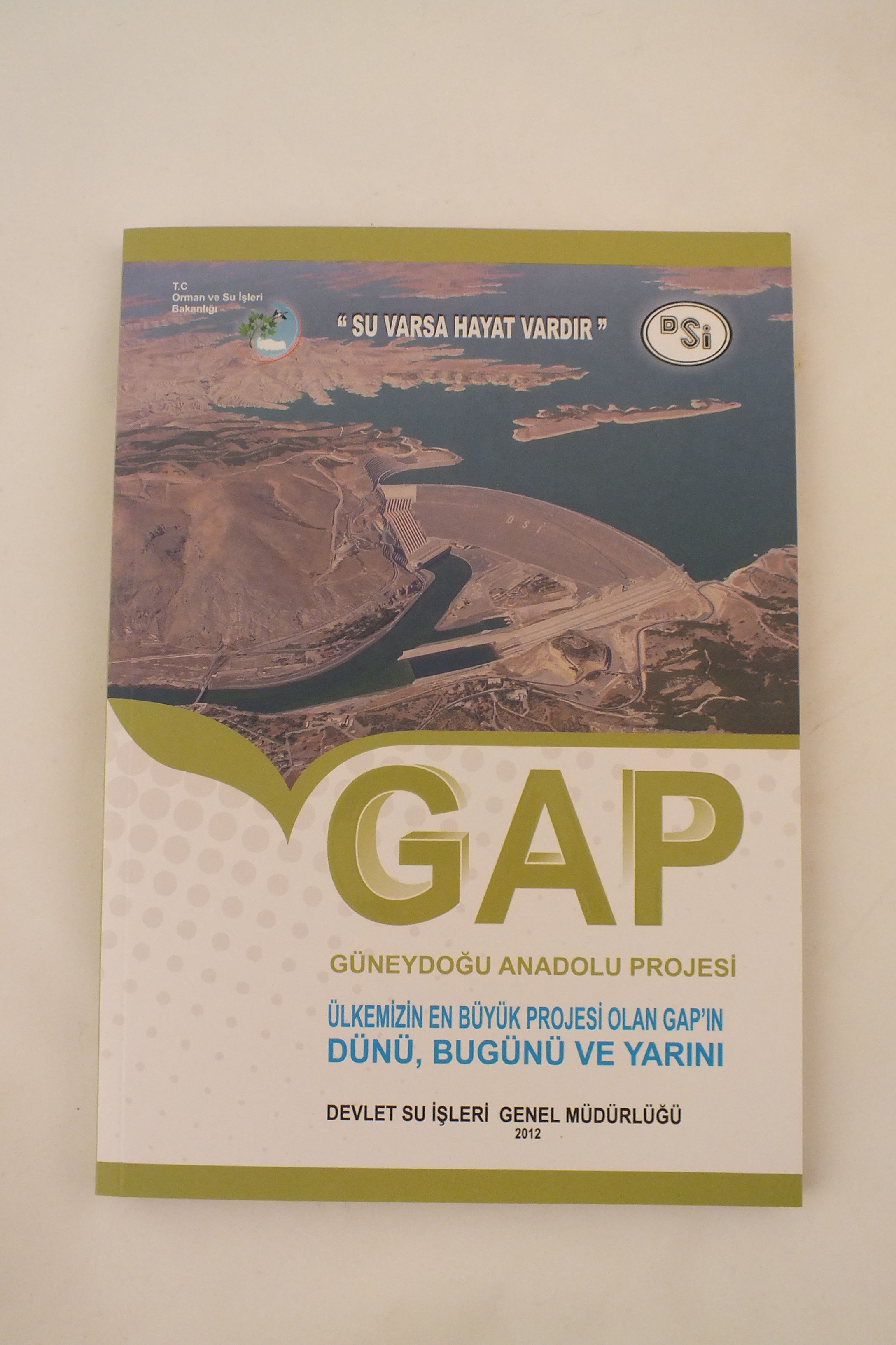  Dsi Gap Kitabı